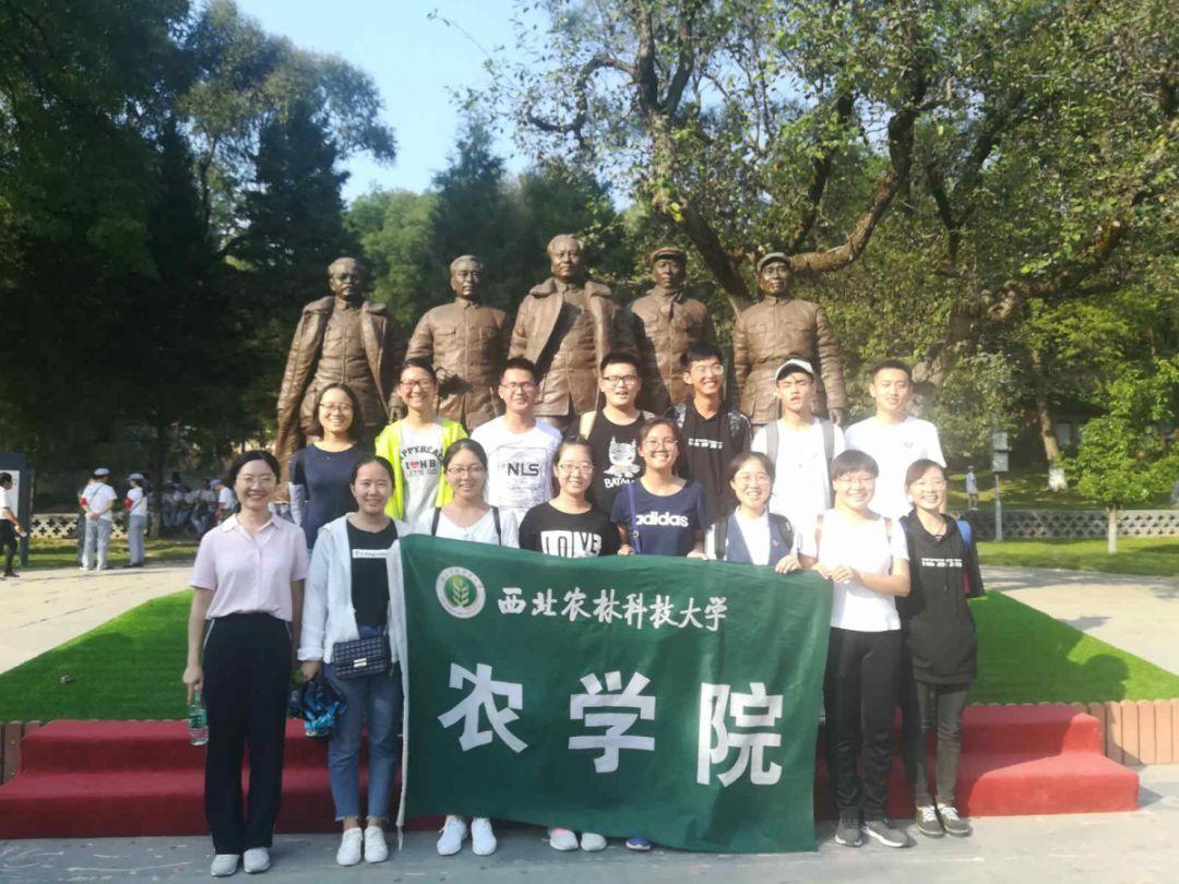 可爱女孩参加宴会
